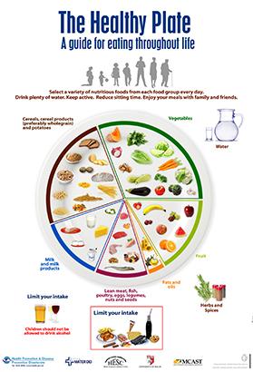 nutrition during pregnancy