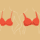 bras