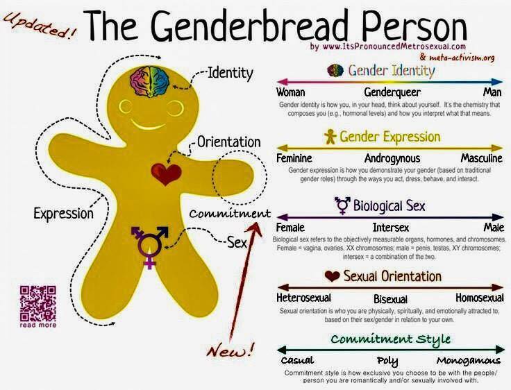 Gender Sexual And Relationship Diversity What Exactly Does It Mean